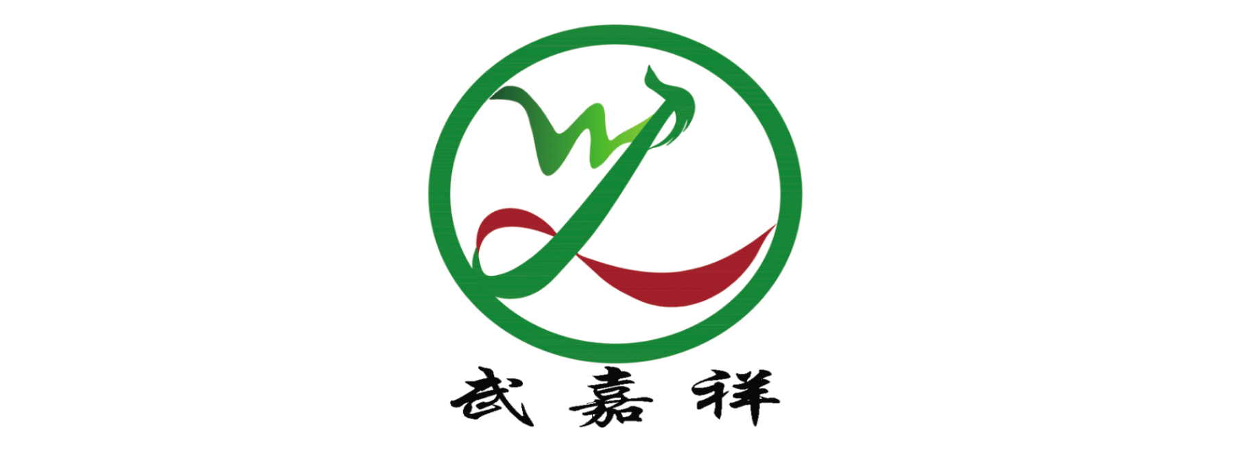 武汉武嘉祥医疗科技有限公司