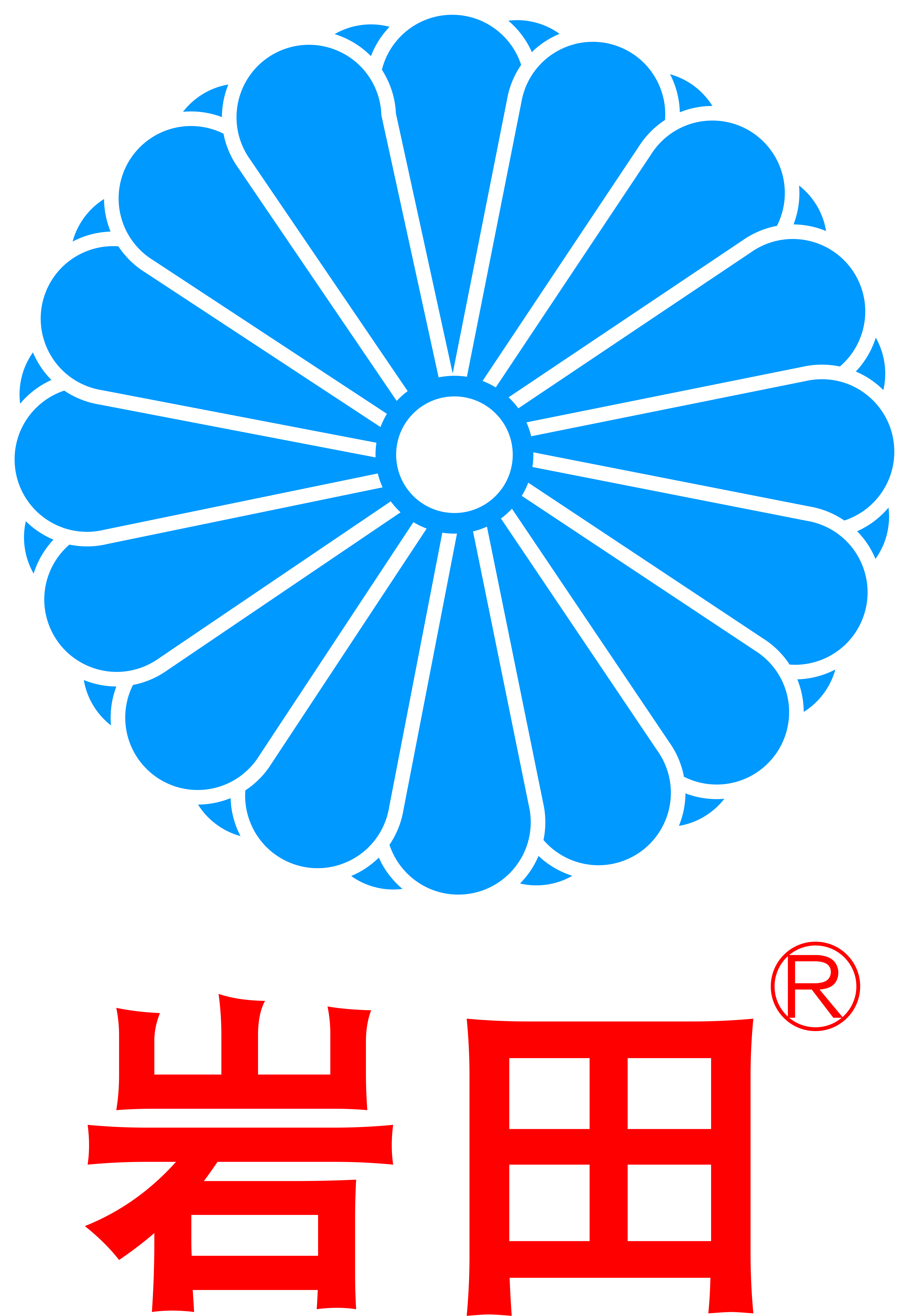 岩田环境科技有限公司广西分公司